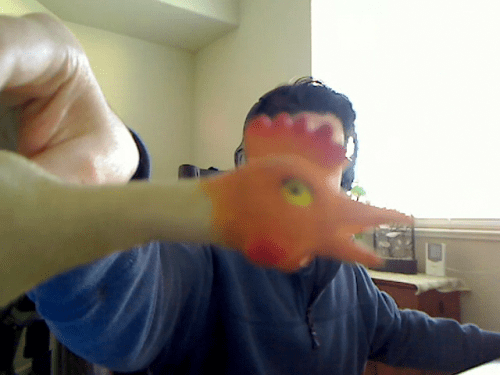 Videochicken